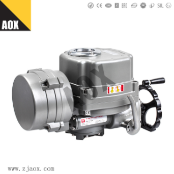 電動執(zhí)行器 電動執(zhí)行器