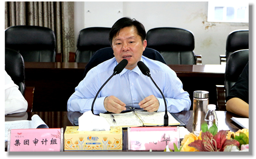 集團黨委委員、紀(jì)委書記彭向華強調(diào)審計整改工作要深挖思想根源(圖2)