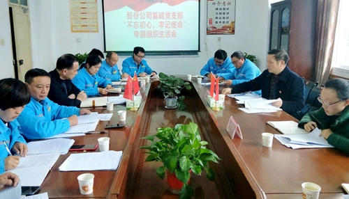 向宇飛列席指導(dǎo)股份公司氯堿黨支部“不忘初心、牢記使命”專題組織生活會